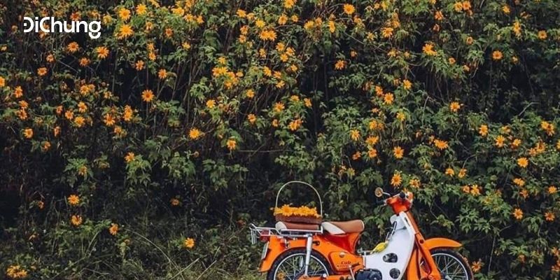 Cuối tuần đi đâu Hà Nội? – Top 5 địa điểm lý tưởng