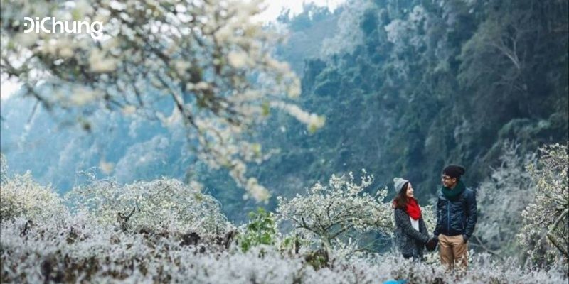 du lịch mộc châu 4