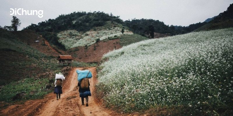 du lịch mộc châu 5