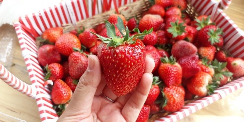 du lịch mộc châu 27