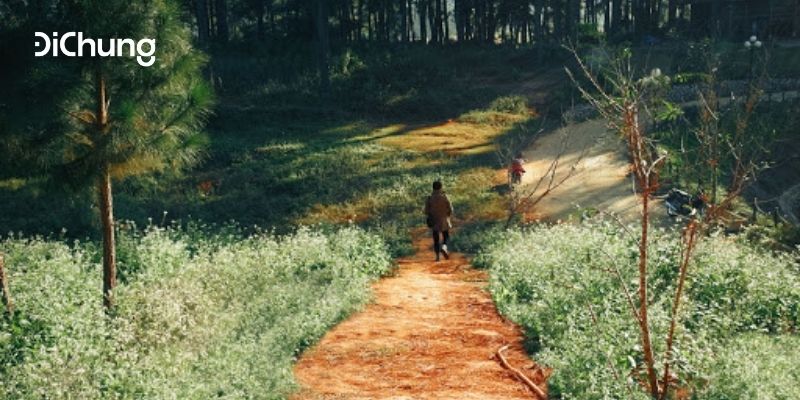 du lịch mộc châu 7