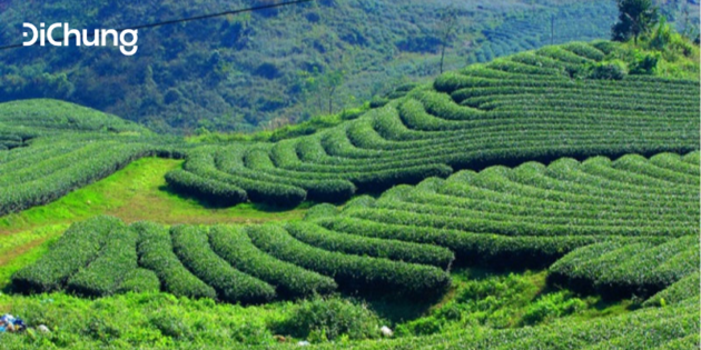 xe Mỹ Đình Thái Nguyên
