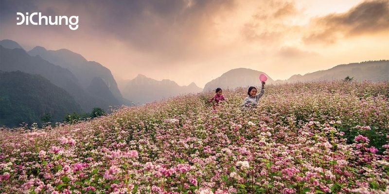 Tổng hợp các xe giường nằm Hà Nội Hà Giang chất lượng