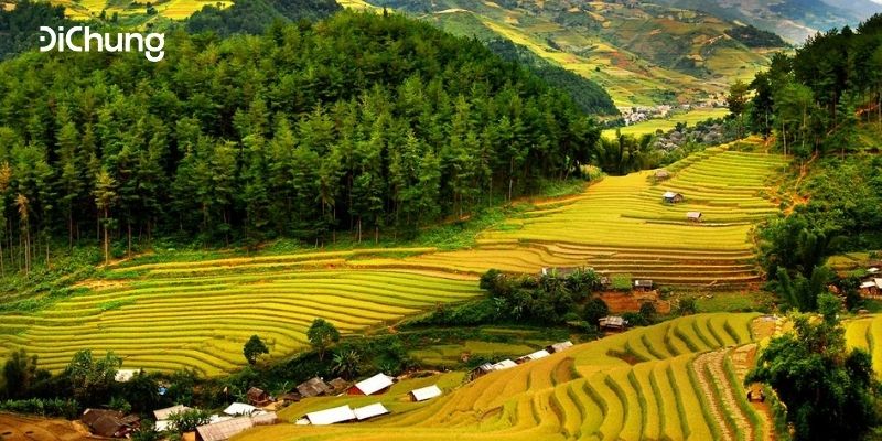 Top 5 homestay Mai Châu view đẹp, giá rẻ – Cập nhật mới nhất 2020