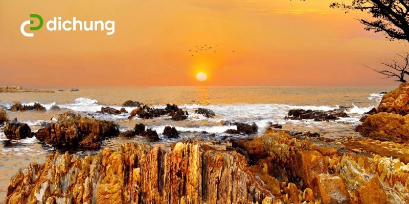 kinh nghiệm du lịch Hạ Long 15