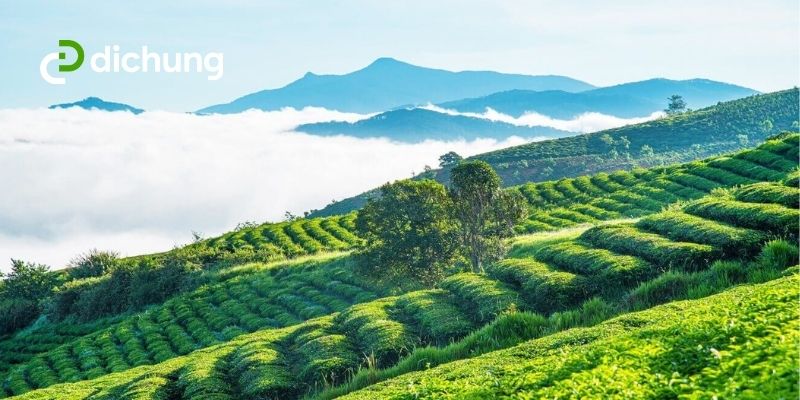 thuê xe 45 chỗ Đà Lạt