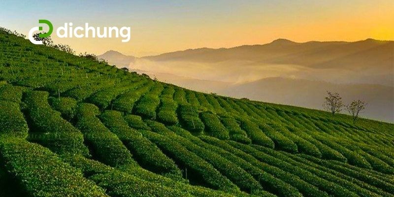 thuê xe 16 chỗ Sài Gòn Đà Lạt 1