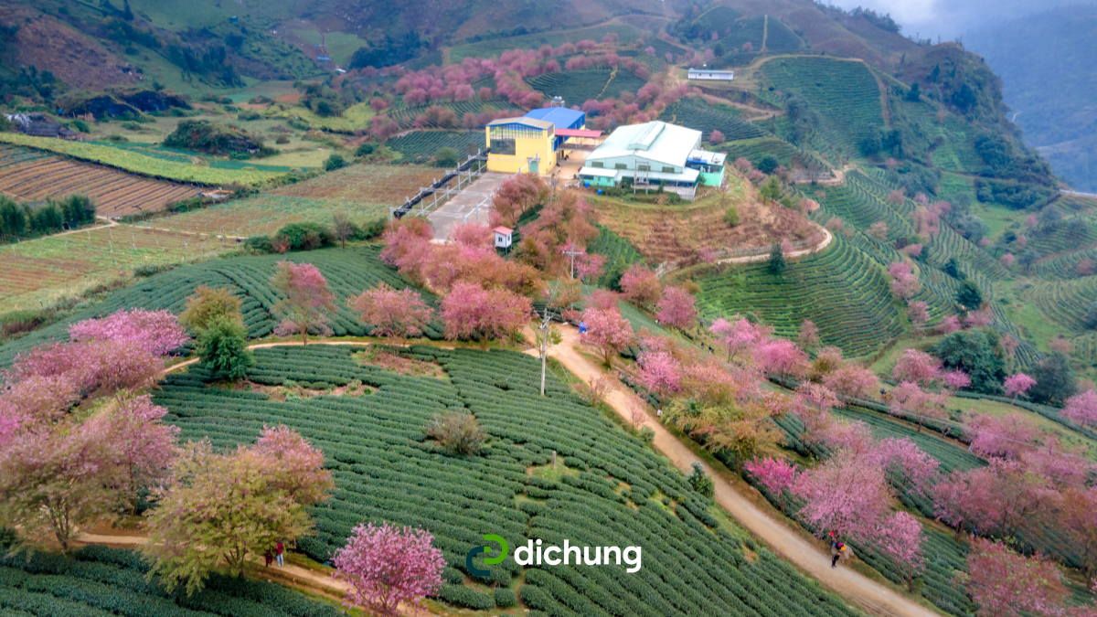 [Giải đáp] Thuê xe đi Hà Giang ở đâu uy tín? Giá cước là bao nhiêu?