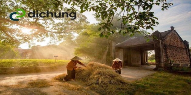 Làng cổ Đường Lâm là điểm đến quen thuộc của các chuyến du lịch ngoại thành Hà Nội
